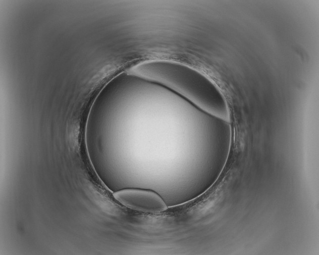 X0000110950201200906261327