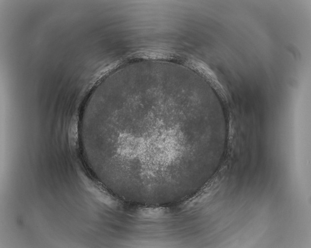 X0000110950202200906261327