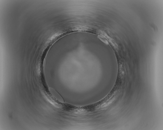 X0000110950203200906261327