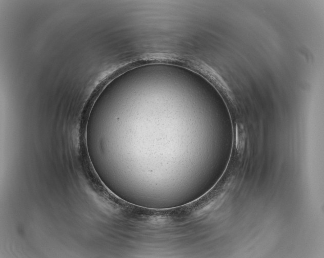 X0000110950204200906261327