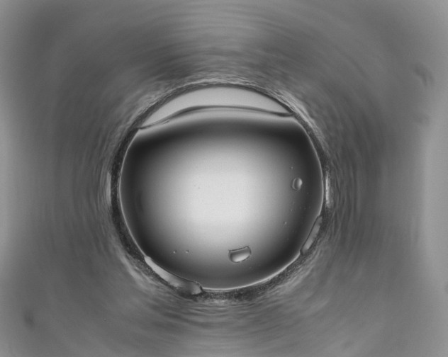 X0000110950205200906261327