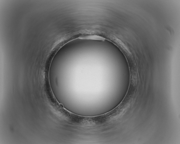 X0000110950207200906261327