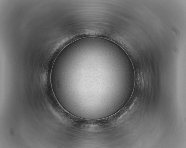 X0000110950208200906261327