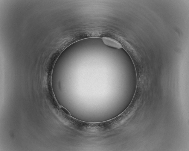 X0000110950209200906261327