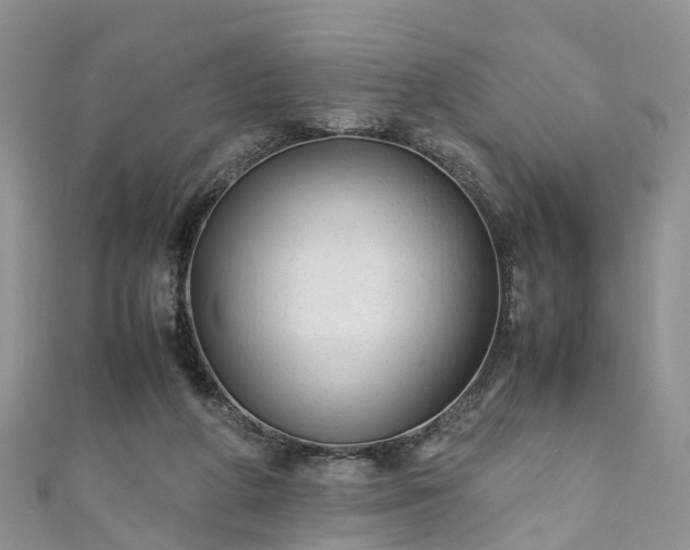 X0000110950210200906261327