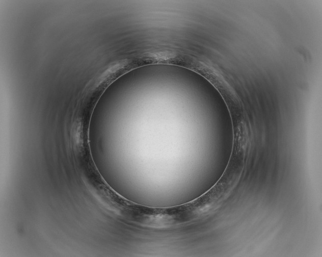 X0000110950212200906261327