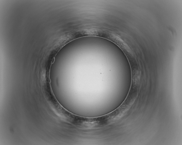 X0000110950213200906261327