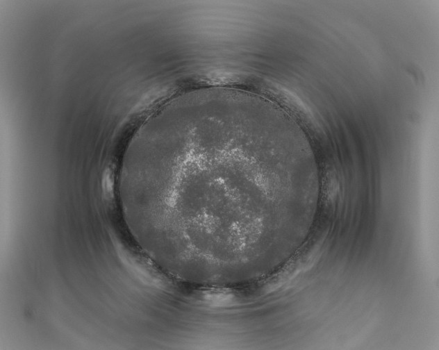 X0000110950214200906261327