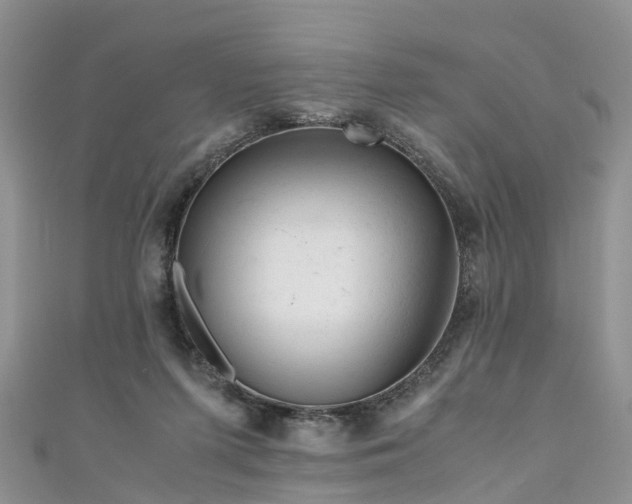 X0000110950215200906261327