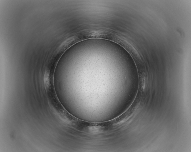 X0000110950216200906261327