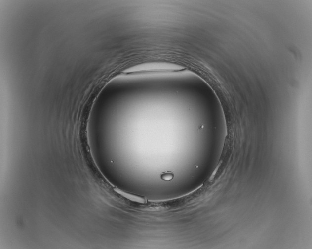 X0000110950217200906261327