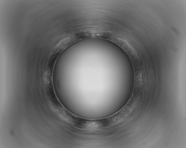 X0000110950218200906261327