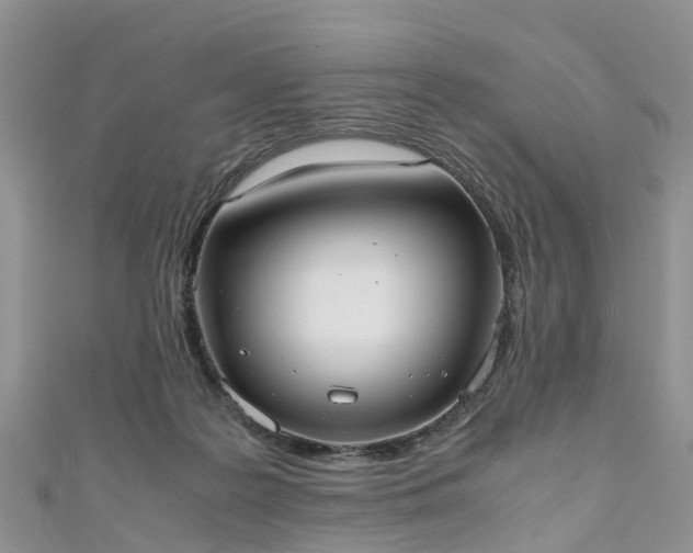 X0000110950219200906261327