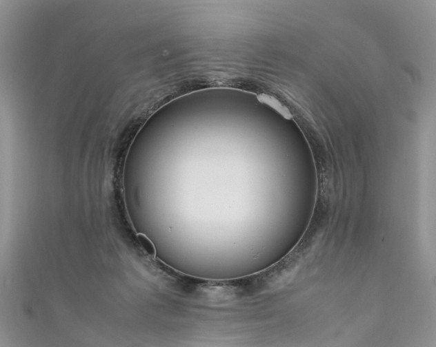 X0000110950221200906261327