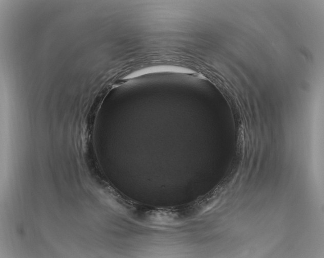 X0000110950223200906261327