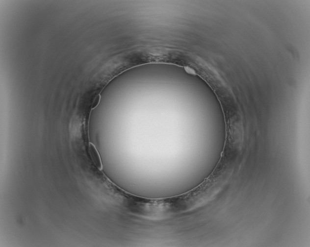 X0000110950225200906261327