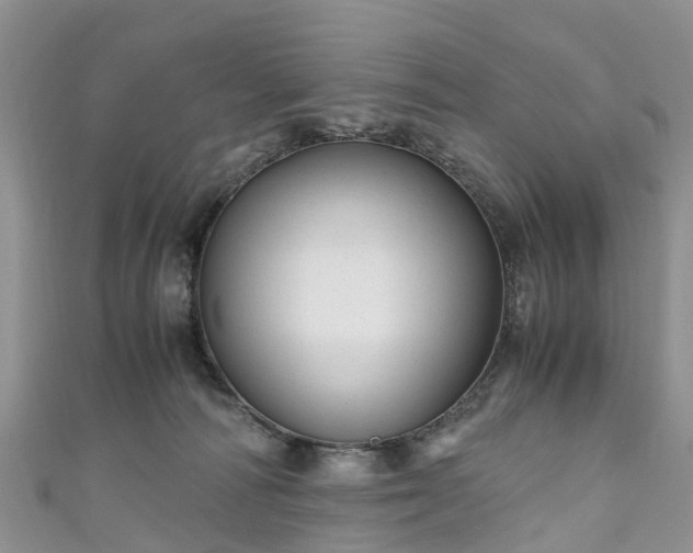 X0000110950226200906261327