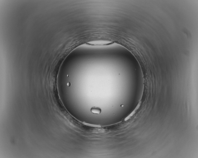 X0000110950227200906261327