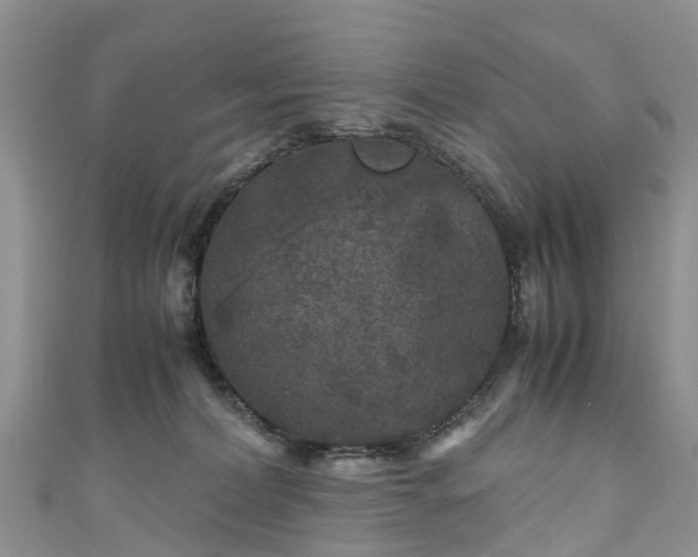 X0000110950228200906261327