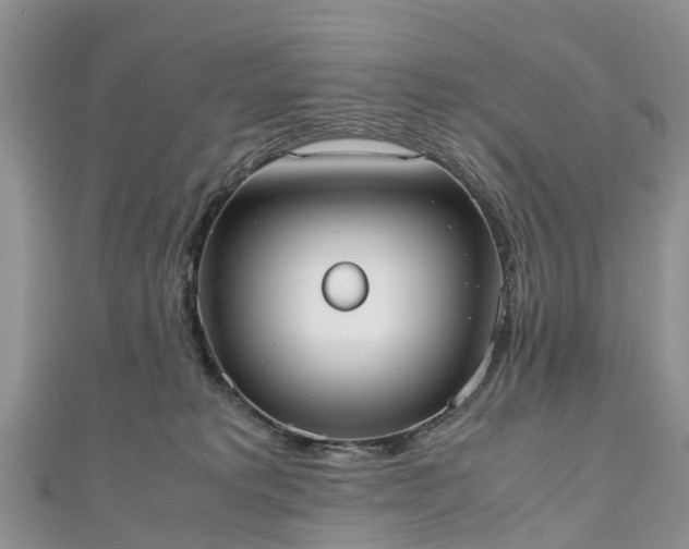 X0000110950229200906261327