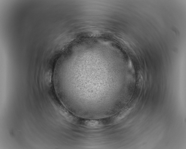 X0000110950230200906261327