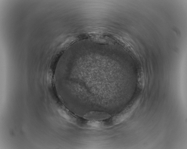 X0000110950231200906261327