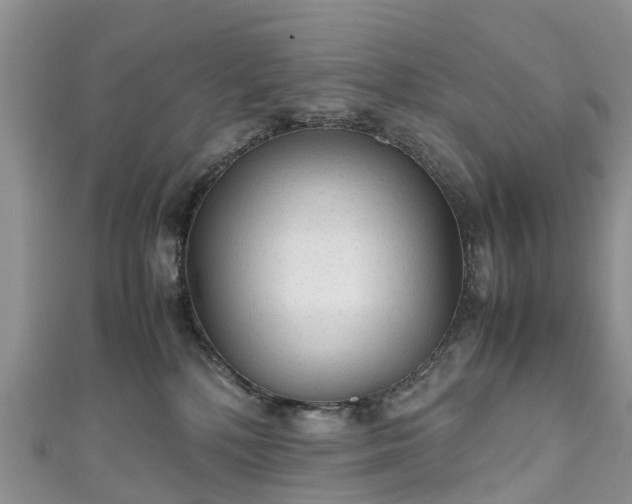 X0000110950232200906261327