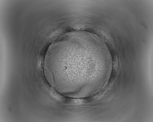 X0000110950233200906261327