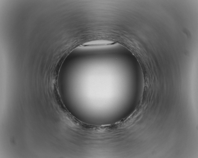 X0000110950235200906261327