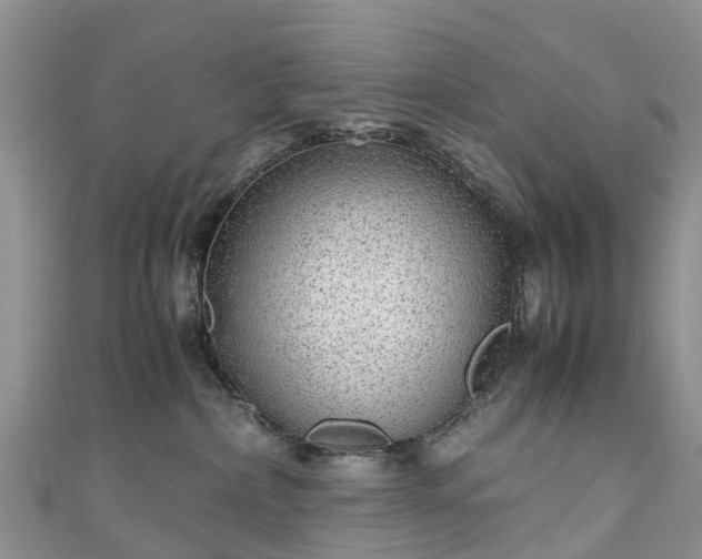 X0000110950236200906261327