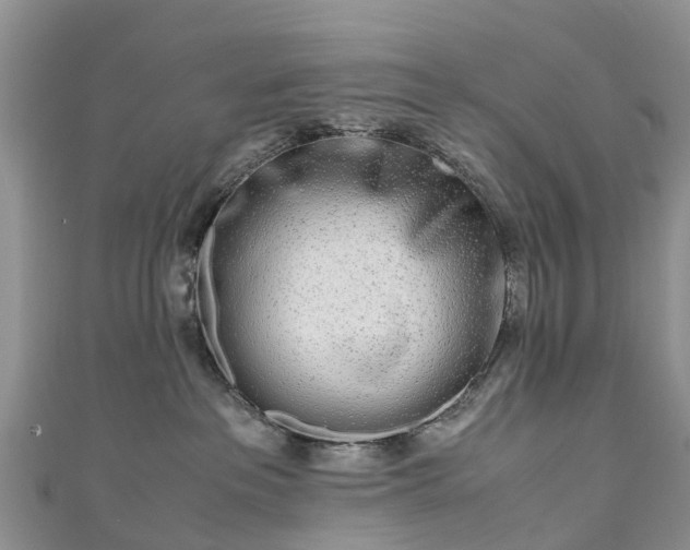 X0000110950237200906261327