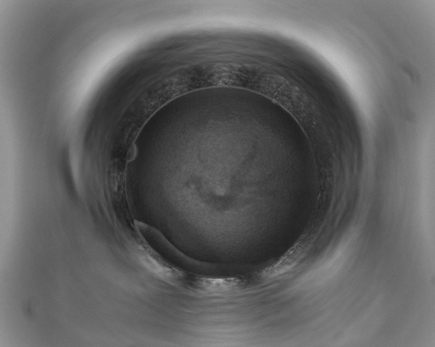 X0000110950239200906261327