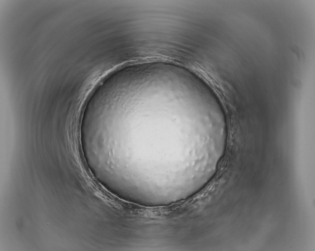 X0000110950241200906261326