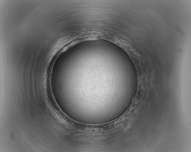 X0000110950242200906261326