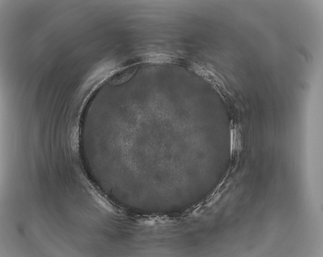 X0000110950243200906261326