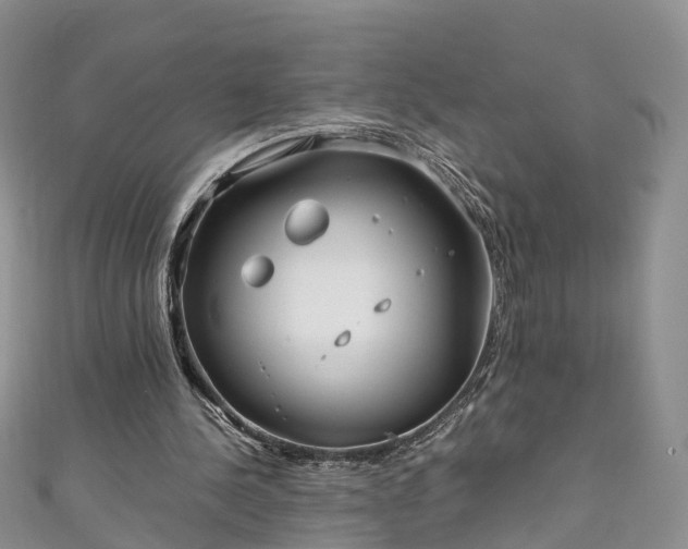 X0000110950244200906261326