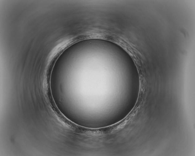 X0000110950245200906261326