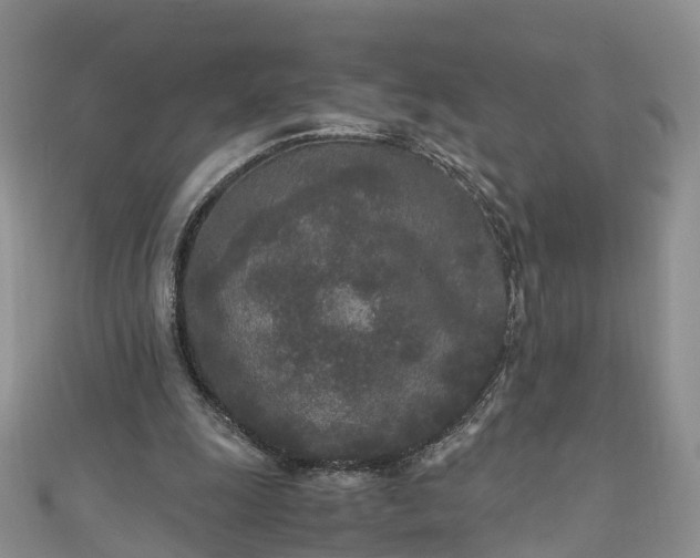 X0000110950247200906261326