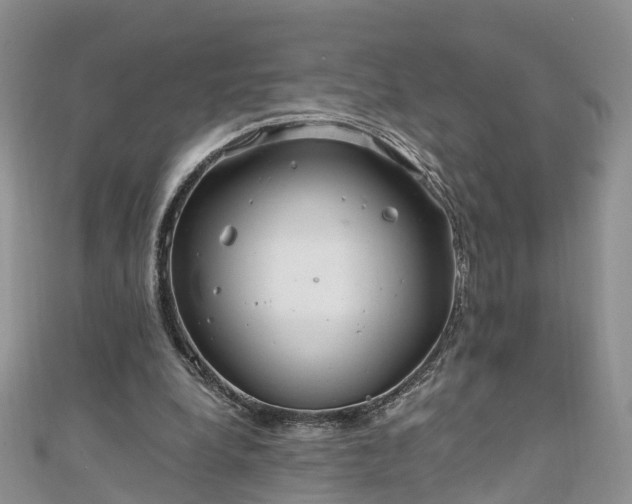 X0000110950248200906261326