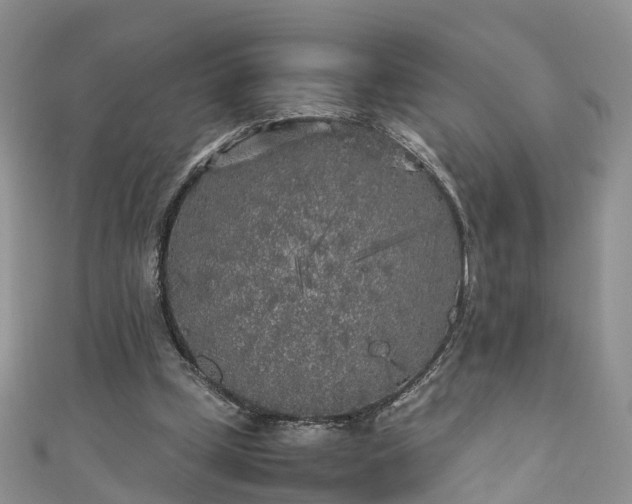 X0000110950249200906261326