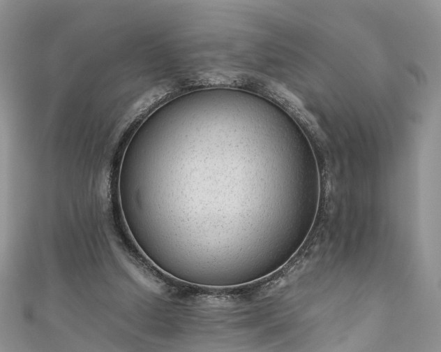 X0000110950250200906261326