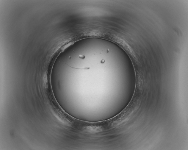 X0000110950251200906261326