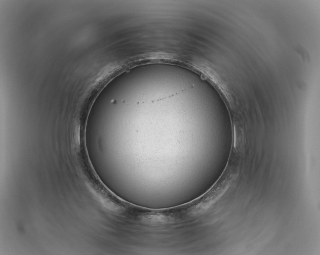 X0000110950253200906261326