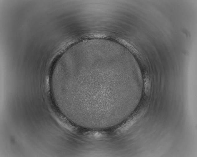 X0000110950254200906261326