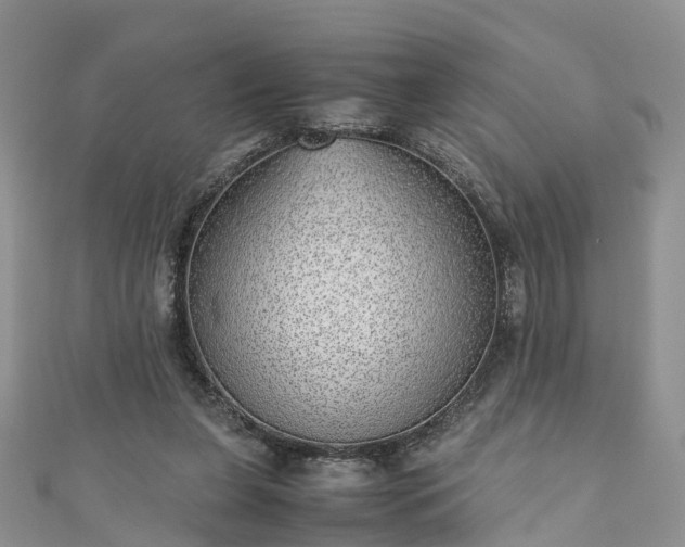 X0000110950255200906261326