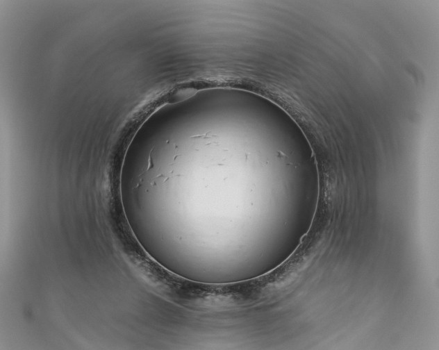 X0000110950256200906261326