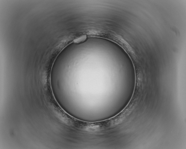 X0000110950257200906261326