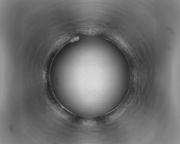 X0000110950258200906261326