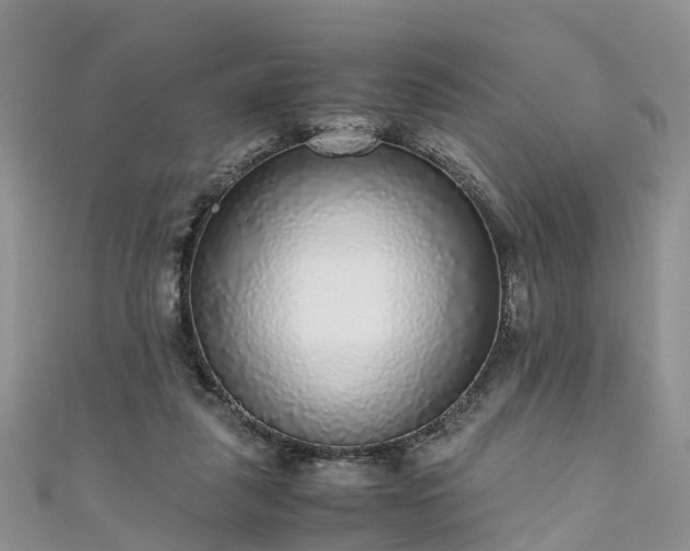 X0000110950259200906261326