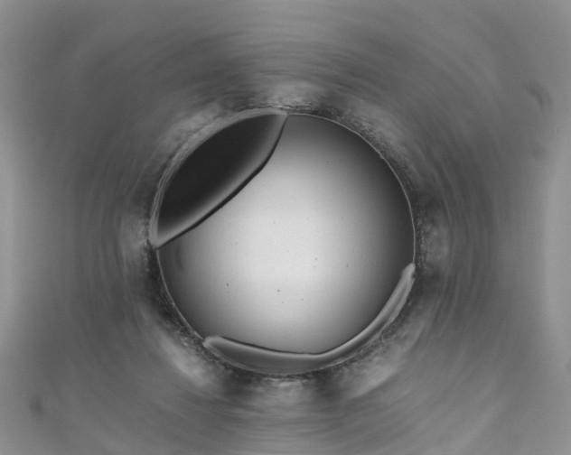 X0000110950260200906261326